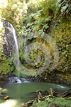 Jungle waterfall in northern Madagascar photo