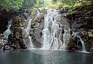 Jungle waterfall