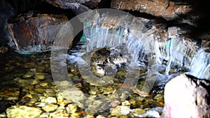 Jungle waterfall cascade in tropical rainforest with rock and turquoise blue pond.