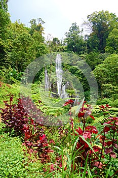 Jungle waterfall cascade in tropical rainforest with rock and turquoise blue pond. Its name Banyumala because its twin waterfall