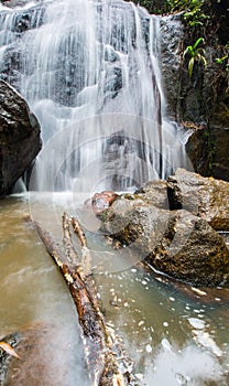Jungle Waterfall I