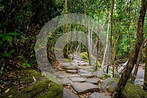 Jungle waterfall on Phu Quoc