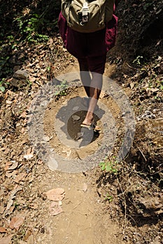 Jungle in Western Ghats in India