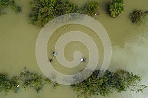 Jungle wetlands wilderness from helicopter