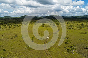 Jungle wetlands wilderness from helicopter