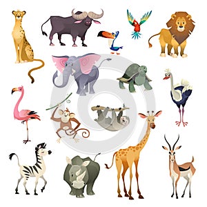 Jungle wild animals. Savannah forest animal bird safari nature africa tropical exotic forest marine mammals, cartoon set