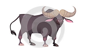 Jungle wild bull. Ox savannah brown animal, wildlife trendy exotic childish print, african fauna mammal. Vector flat