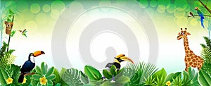 Jungle or Zoo Themed Animal Background