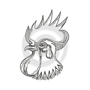 Junglefowl Head Doodle Art