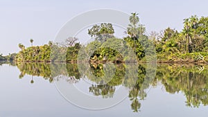 The jungles and river photo