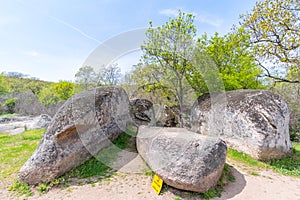 Junior papillon dog at Beglik Tash - nature rock formation, a prehistoric rock sanctuary