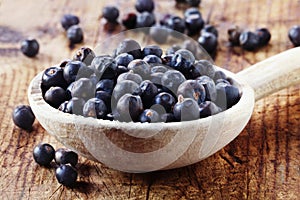 Juniper Berries