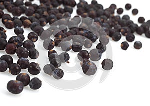 JUNIPER BERRIES juniperus communis AGAINST WHITE BACKGROUND