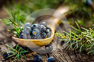 Juniper berries