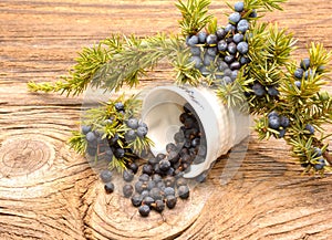 Juniper berries on a wooden background