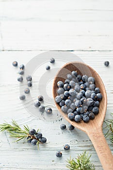 Juniper Berries