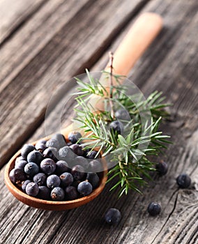 Juniper berry