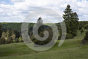 Juniper heathland and mixed forest in swabian alb