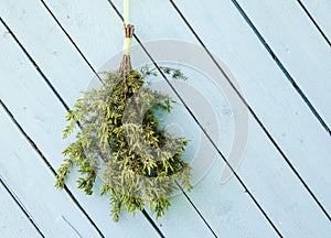 Juniper sauna whisk broom also known as vasta, vihta or venik hanging and drying on the wall, blue wooden background.