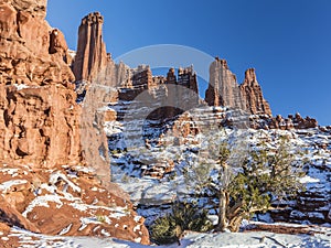 Juniper Tree at Fisher Towers photo