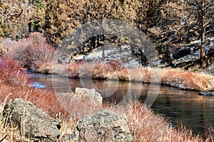 Juniper Trees and sage brush along the Deschutes River in Bend Oregon
