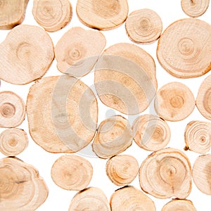 Juniper wood disks background