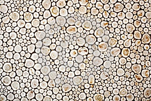 Juniper Wood pattern