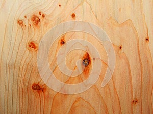 Juniper wood texture