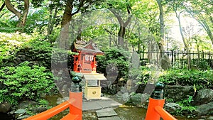 Junisha Kumano Shrine, Shinjuku, goldfish, pond, Benten, fountain photo