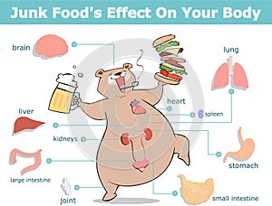 Junk food's effect