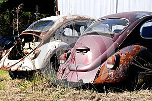 Junk Volkswagen beetle cars