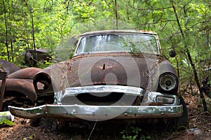 Junk yard car in trees and weeds