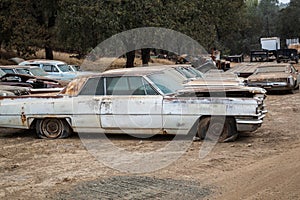 Junk Yard Old Scrap Cars