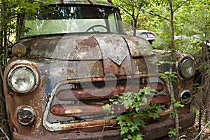 Junk Yard Truck with trees and weeds