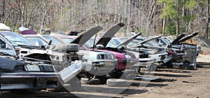 Junker Cars photo