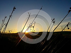 junks with sky at dusk background photo