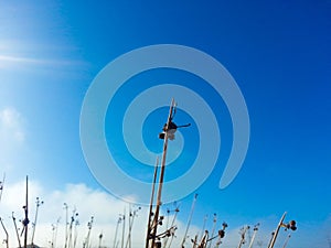 junks with sky at sunset in the background