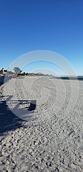 Jupiter beach florida shells coast