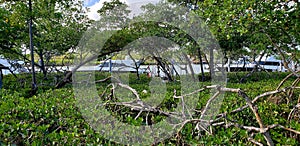 Jupiter Florida Intercoastal Waterway