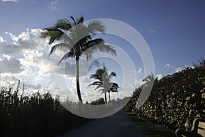 Jupiter Florida at Sunrise