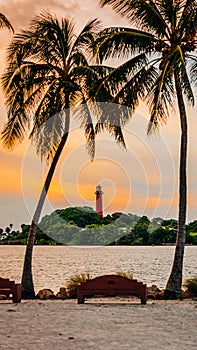 Jupiter Lighthouse with palm trees