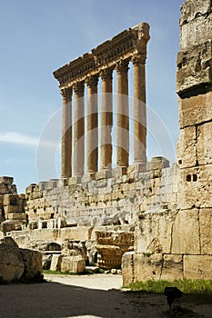 Jupiter temple at Heliopolis photo