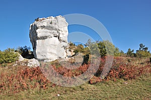 Jura Krakowsko-CzÃâ¢stochowska