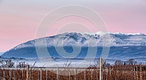 Jura Mountain And Vineyard