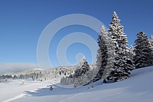 Jura mountain in winter, Switzerland