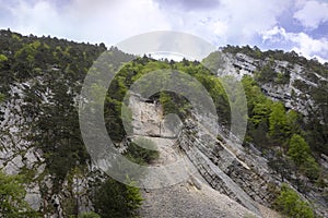 Jura mountains swiss landscape. Mountain steep slope with vibrant green trees and rockslide with wire protection against stones