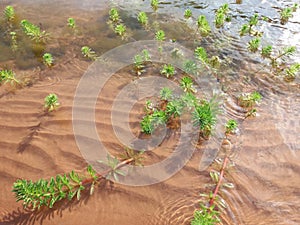 Juramento river, Salta Argentina photo