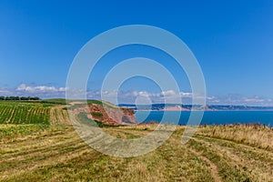 Jurassic Coast in summer