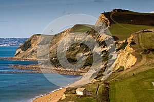 Jurassic Coastline looking towarsds Lyme Regis