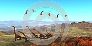 Jurassic Giraffatitan Dinosaurs